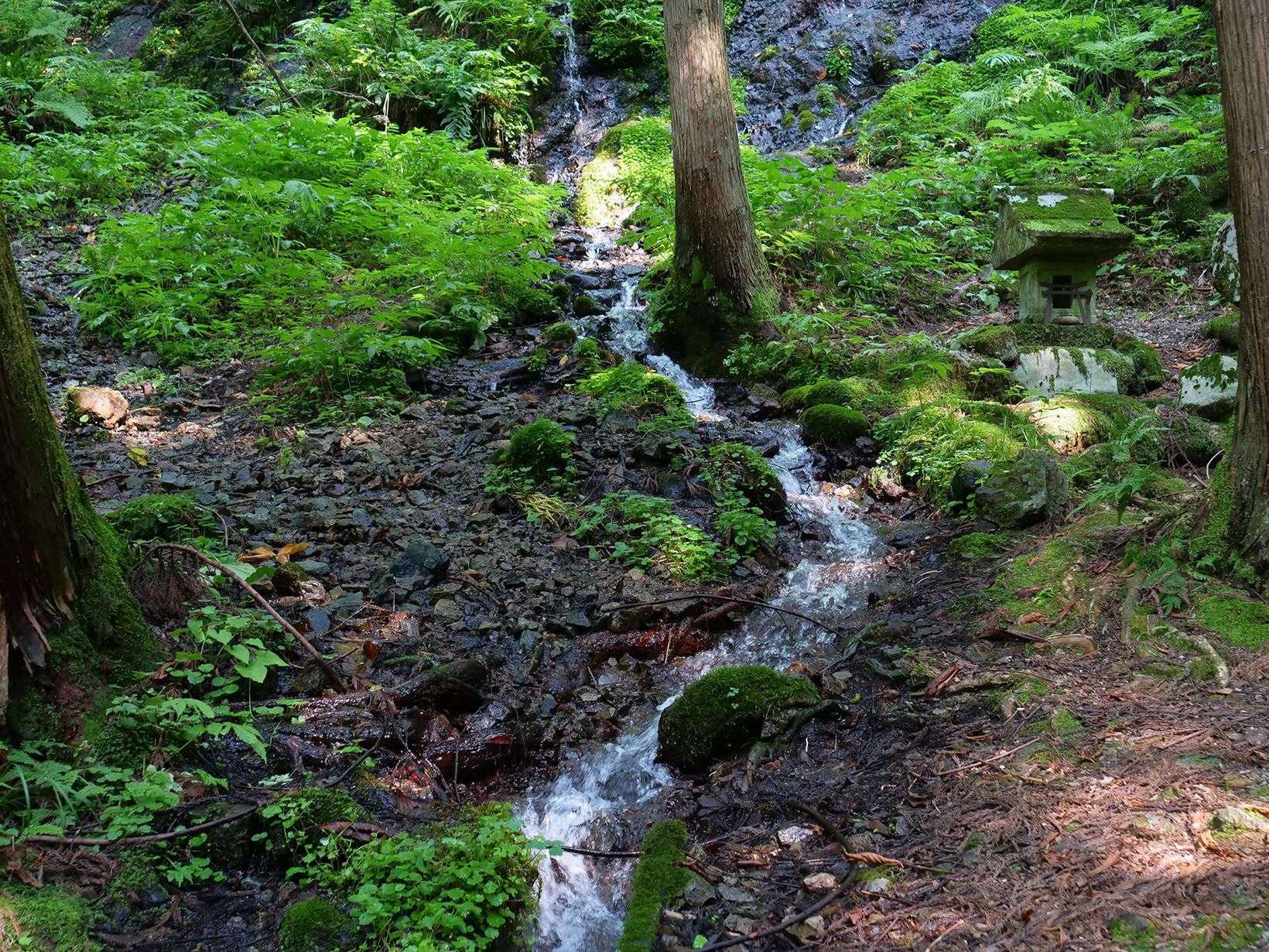 雷電様の水