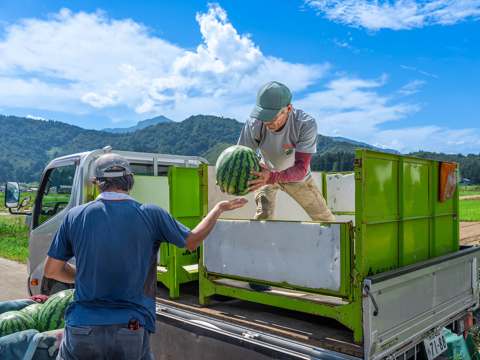 Yairo Watermelons